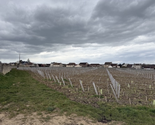 Domaine Michel Gros Vosne Romanée Clos des Réas