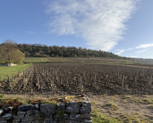 Domaine Roy