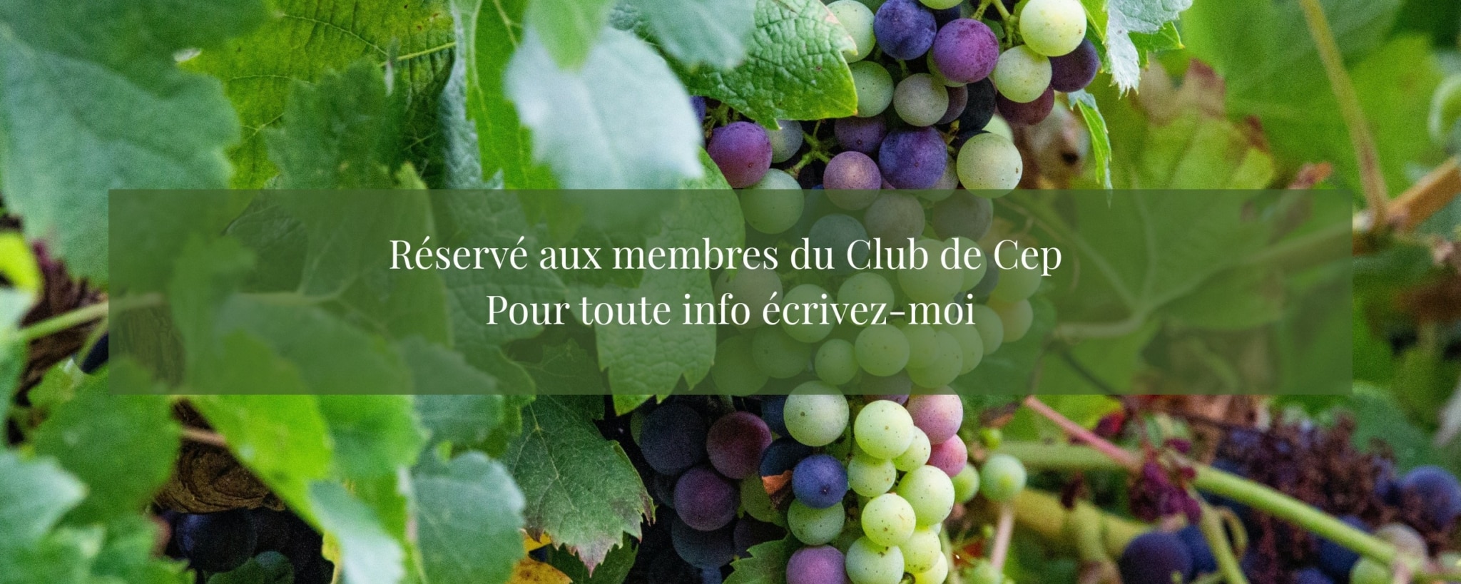 Bienvenue Club