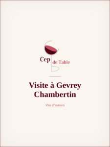visite-a-gevrey-chambertin