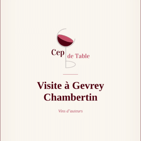 visite-a-gevrey-chambertin