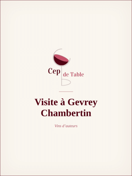 visite-a-gevrey-chambertin